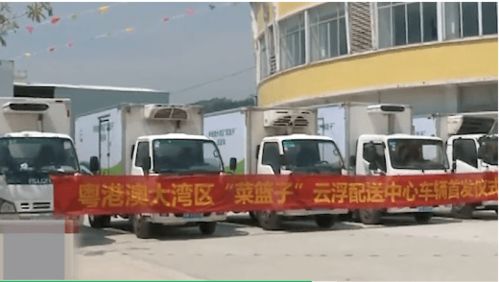 聚焦云浮七大產(chǎn)業(yè)集群⑦ 打造大灣區(qū)北岸綜合物流配送基地 實(shí)現(xiàn)高效貨物配送