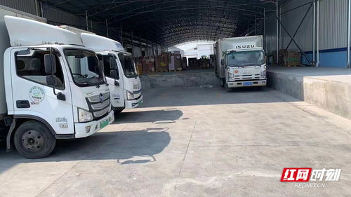 衡陽入選國家第三批綠色貨運配送示范工程創建城市，助力物流業綠色發展