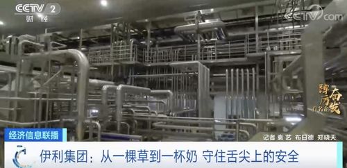 踔厲奮發看名企丨伊利每日下線1億多份產品 國產奶粉占據近七成線下市場